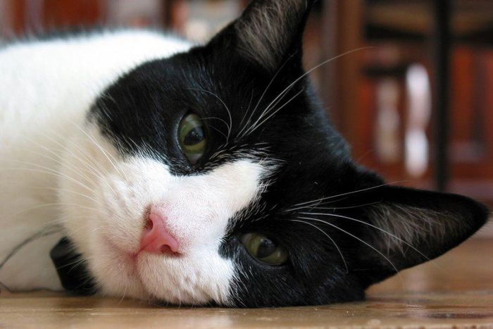 ___3792043___https:______static.pulse.com.gh___webservice___escenic___binary___3792043___2015___5___24___19___file59575519_7a5e005f