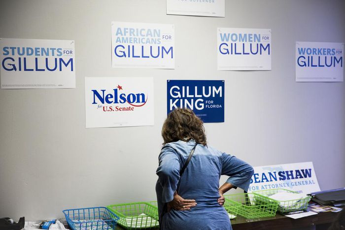 Stung by Florida Midterm Losses, Democrats See a Swing State Drifting Away