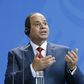 Egypt's President Abdel Fattah al-Sisi addresses a joint news conference with German Chancellor Angela Merkel following talks at the Chancellery in Berlin, Germany June 3, 2015. REUTERS/Fabrizio Bensch