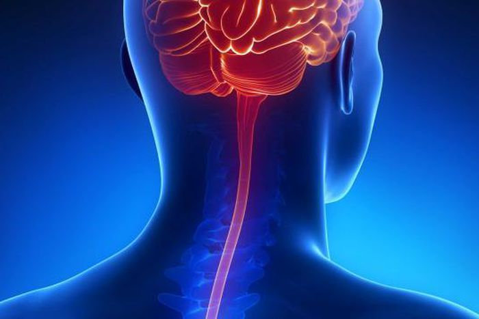 Brain spine bacterial meningitis