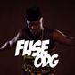 Fuse ODG - Only