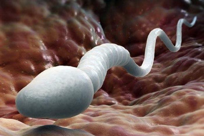 ___4236101___https:______static.pulse.com.gh___webservice___escenic___binary___4236101___2015___10___7___0___6775588_orig_1