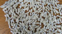 Heroin is one of the most trafficked drugs in the world