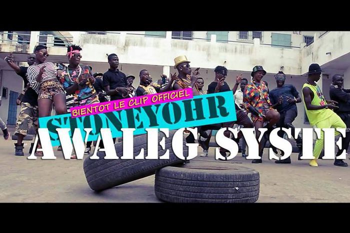 Stoneyohr - Awaleg System