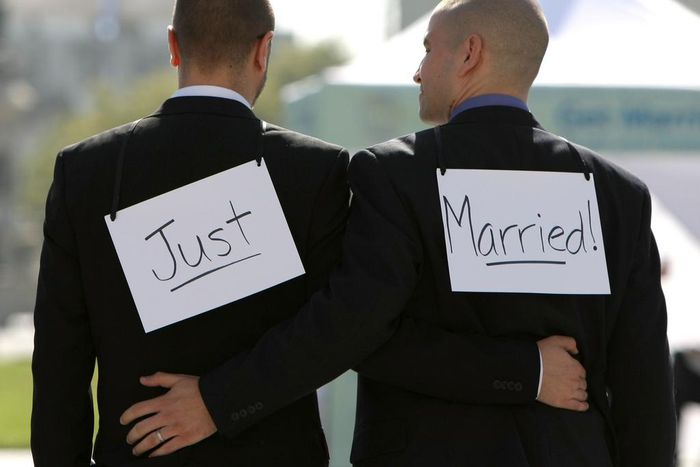 ___4125964___https:______static.pulse.com.gh___webservice___escenic___binary___4125964___2015___9___1___14___same-sex-marriage