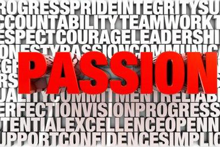 ___2503010___https:______static.pulse.com.gh___webservice___escenic___binary___2503010___2013___11___4___14___Passion-is-Not-Just-Enough