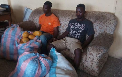 The two suspects, Yemoh Odoi, alias Attah aged 51 years, and 21-year-old Prince Otibu