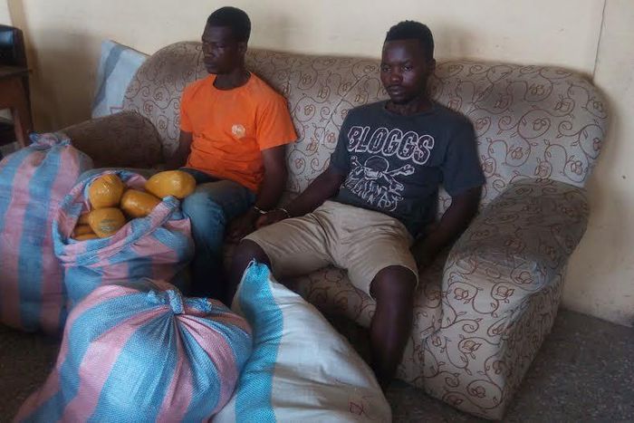 The two suspects, Yemoh Odoi, alias Attah aged 51 years, and 21-year-old Prince Otibu