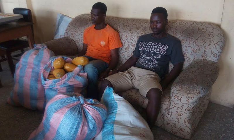 The two suspects, Yemoh Odoi, alias Attah aged 51 years, and 21-year-old Prince Otibu