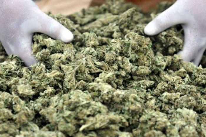 ___3950602___https:______static.pulse.com.gh___webservice___escenic___binary___3950602___2015___7___8___11___1428416159s5asm