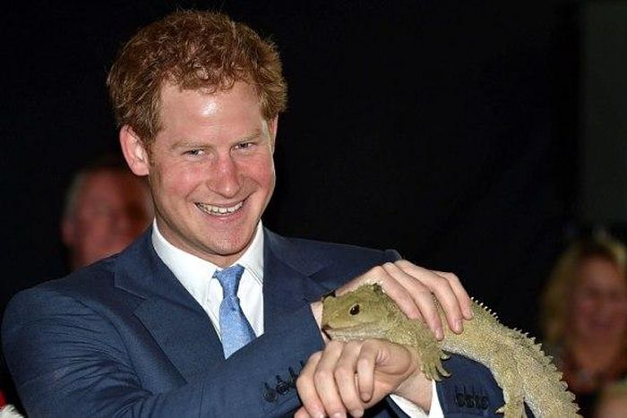 Prince Harry meets 100-yr-old Lizard called 'Harry' in New Zealand
