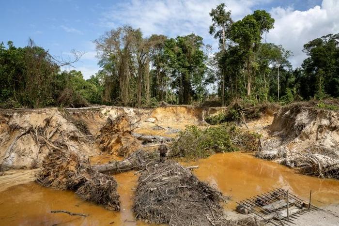 At illicit gold mining camps in French Guiana, miners strip away the soil to sift for golden flecks while trying to dodge authorities