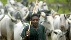 The ICG also noted that the farmer-herder conflict has become Nigeria’s gravest security challenge, now claiming far more lives than the Boko Haram.
