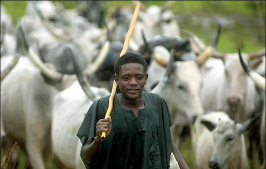 The ICG also noted that the farmer-herder conflict has become Nigeria’s gravest security challenge, now claiming far more lives than the Boko Haram.