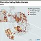Map of the city of Rann in Nigeria, destruction detected by satellite images.