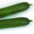 Cucumber sex toy