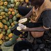 A farmer cuts a cocoa pod to collect the beans inside on a farm in Azaguie, Ivory Coast.Photographer: Andrew Caballero-Reynolds/Bloomberg