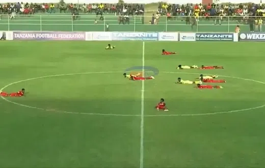 Players, referees, and camera crew hit the ground to escape bees [Video]