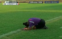 Match official lies down to avoid bees