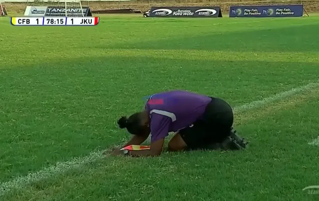 Match official lies down to avoid bees
