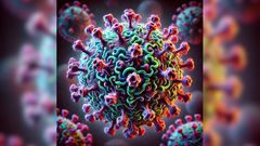 human metapneumovirus (HMPV