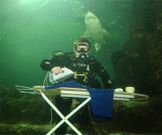 10. Extreme Ironing 