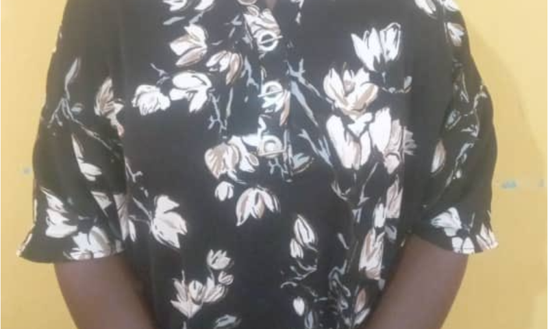 Breaking: Female suspect arrested in ongoing Kotoko fan stabbing case