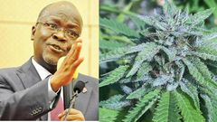 “Smoke wee” and get strength to discharge your duties fearlessly – President Magufuli instructs his ‘dull’ minister