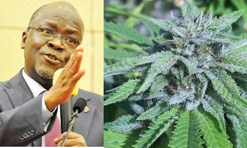 “Smoke wee” and get strength to discharge your duties fearlessly – President Magufuli instructs his ‘dull’ minister