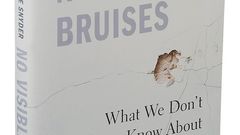 An extraordinary new book dismantles the myths that surround domestic violence