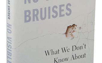 An extraordinary new book dismantles the myths that surround domestic violence