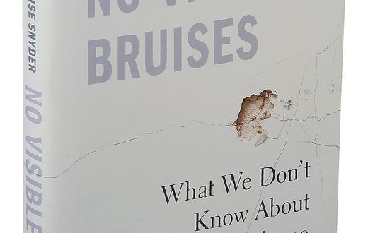An extraordinary new book dismantles the myths that surround domestic violence