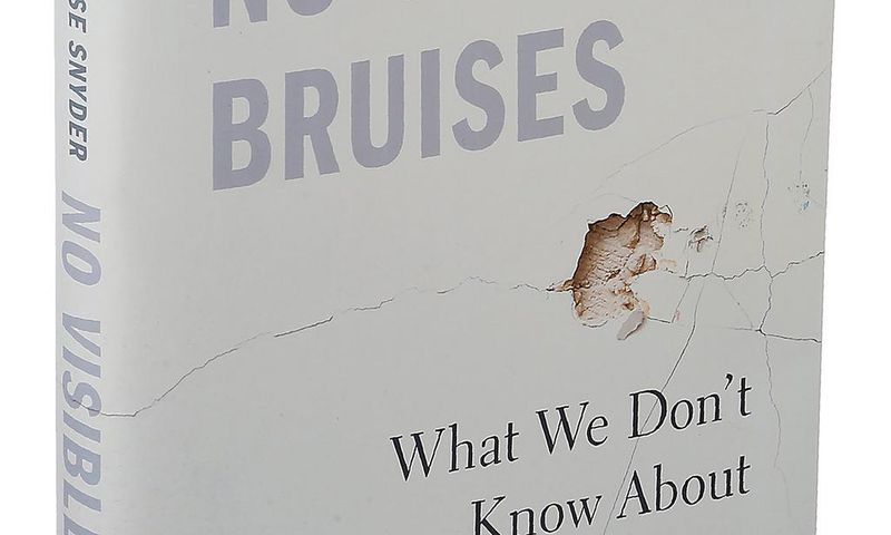 An extraordinary new book dismantles the myths that surround domestic violence
