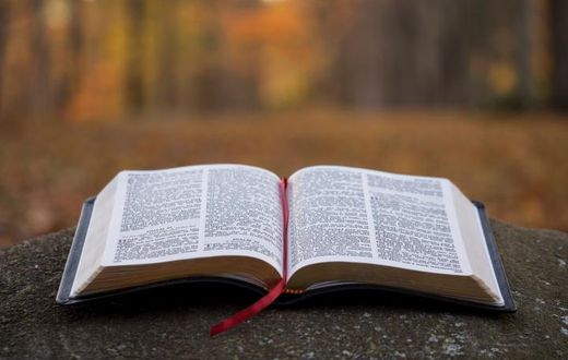 bible
