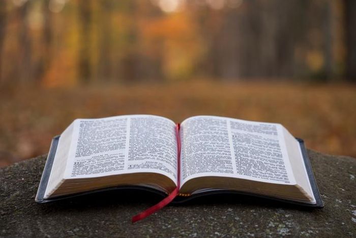 bible