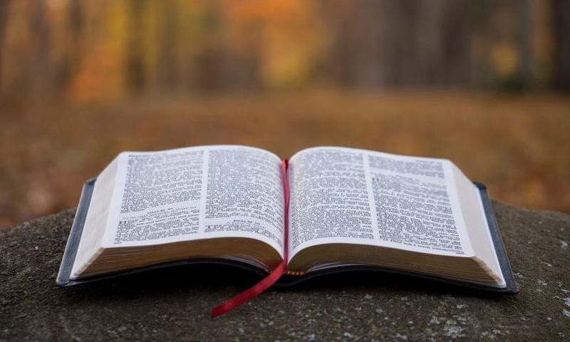 bible