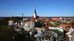 Years of tight spending under previous governments means Estonia has the EU's lowest debt-to-GDP ratio -- but many rural citizens feel left behind and Helme's rhetoric has struck a chord with some