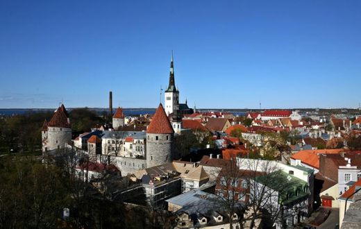 Years of tight spending under previous governments means Estonia has the EU's lowest debt-to-GDP ratio -- but many rural citizens feel left behind and Helme's rhetoric has struck a chord with some