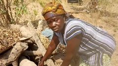 V/R: Poor widow hides her life savings under firewood, loses it to termites