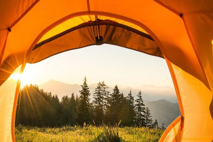 Your Must-Have Camping Gear for 2019
