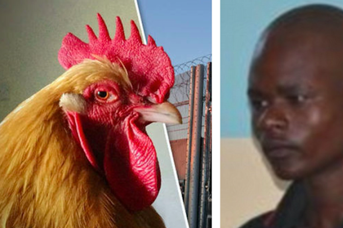 Fowl and Kevin Simonyi