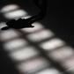 Men are still more likely to kill themselves than women in all regions around the world and age groups, apart from 15-19 year-olds, study shows