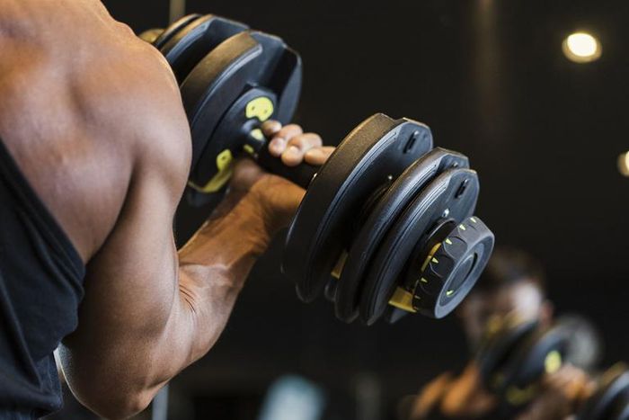 The Best Adjustable Dumbbells