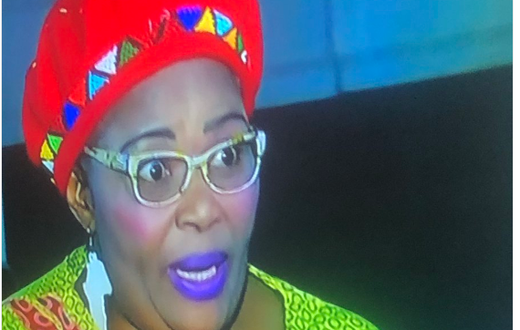 Some people are asking this female MP to sack her makeup artist, do you agree? (photos/videos)