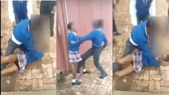 Heart-stopping fight between a female and male student emerges (Video)