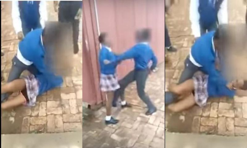 Heart-stopping fight between a female and male student emerges (Video)