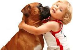 Keep the pets and kids away