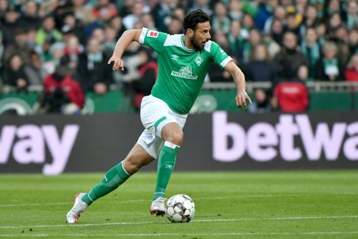 Bremen striker Claudio Pizarro is set to finish his playing career at the end of next season