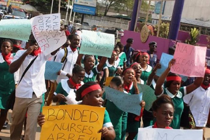 Unemployed nurses