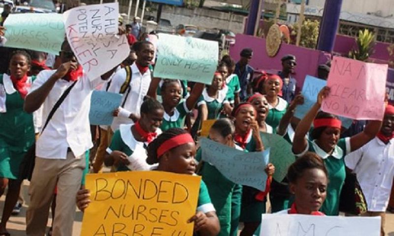 Unemployed nurses